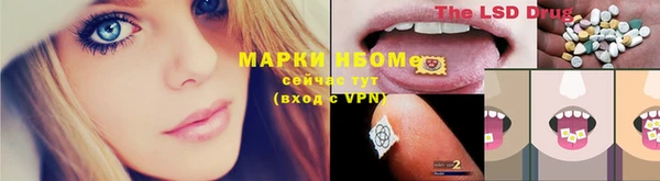 кокс Магас