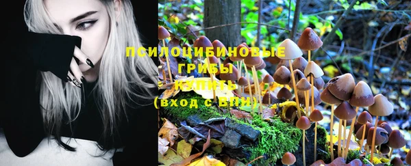 гидропоника Лихославль