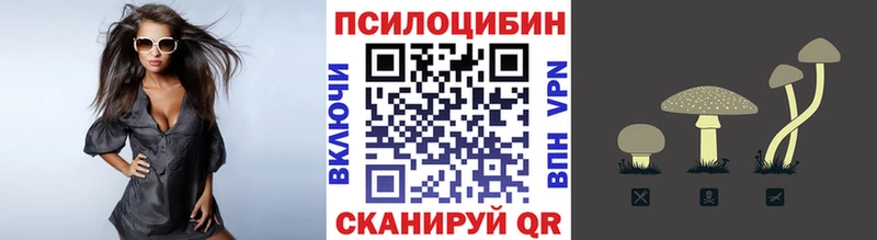 Псилоцибиновые грибы Psilocybe Голицыно